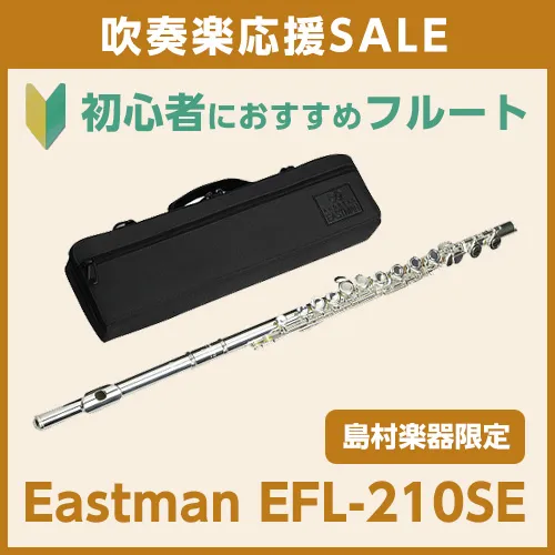 初心者におすすめフルート Eastman EFL-210SE