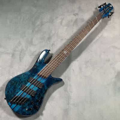 Spector  NS DIMENSION MS 5/Black & Blue Gloss スペクター 【 名古屋パルコ店 】