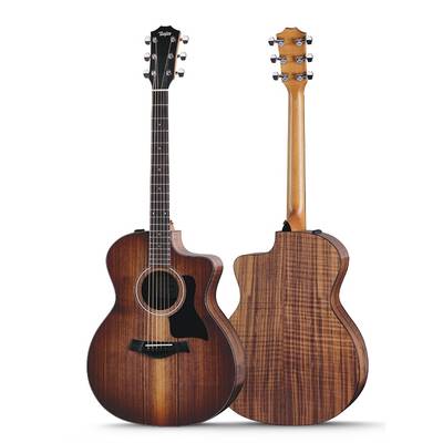 Taylor  124ce Special Edition テイラー 【 名古屋パルコ店 】