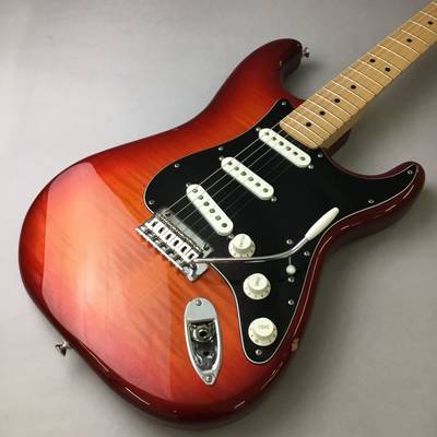 Fender  PLAYER ST PTOP M フェンダー 【 千葉店 】