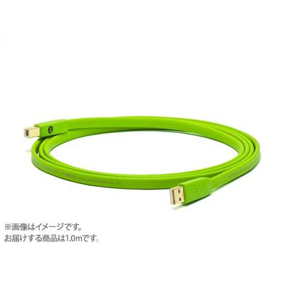NEO OYAIDE  d+USB class B USBケーブル 1.0m ネオ オヤイデ 【 札幌パルコ店 】