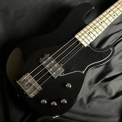 SCHECTER  L-SGRY-AS/M シェクター 【 横浜ビブレ店 】