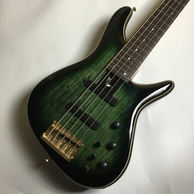 Sugi  NB5IR A SL-ASH（HLGB）／島村楽器限定モデル スギギターズ 【 ＦＫＤ宇都宮店 】