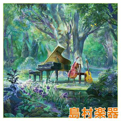 TORAY  K1919P-GREEN Evergreen Project 楽器用クリーニングクロス トウレ 【 仙台ロフト店 】