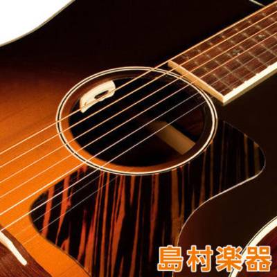 L.R.Baggs  Anthem SL アコースティックギター用ピックアップ LRバッグス 【 イオンモール新利府　南館店 】