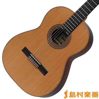 RAIMUNDO  119C64w/HC クラシックギター レイモンド 【 郡山アティ店 】