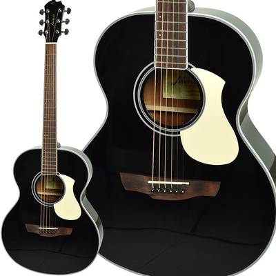 James  J-300A Black アコースティックギター oooタイプ J300A ジェームス 【 イオンモール日の出店 】