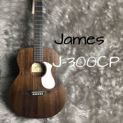 James  J-300Compact/M Black Mahogany パーラーサイズ ミニギター 生音リバーブ オールマホガニー J-300CP/M ジェームス 【 イオンモール日の出店 】