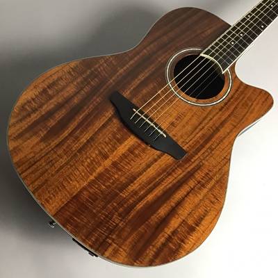 Applause by Ovation  Standard Exotic AB24IIP-KOA Mid Depth Natural エレアコギター アプローズ by オベーション 【 モラージュ菖蒲店】