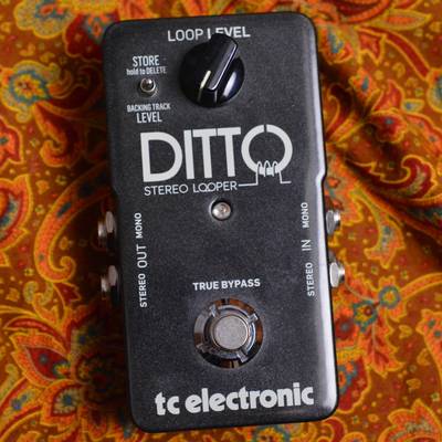 TC Electronic  DITTO STEREO LOOPER　＃1 TC エレクトロニック 【 梅田ロフト店 】
