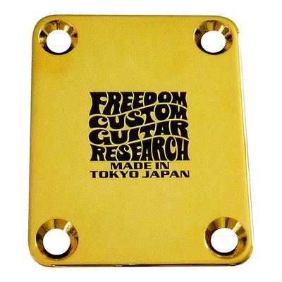 Freedom Custom Guitar Research  SPJP04 3mm ブラス Gold Tone Shift Plate フリーダム 【 錦糸町パルコ店 】