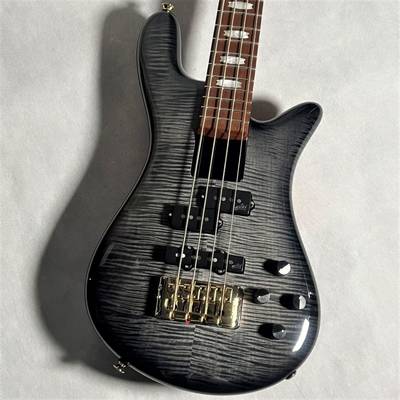 Spector  EURO BOLT4 Figured Maple Top【現物画像】Exclusive Limited スペクター 【 立川店 】