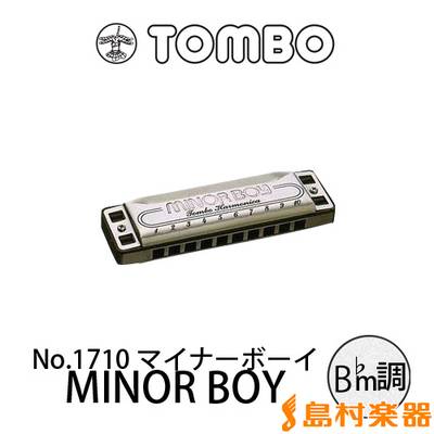 TOMBO No.1710 メジャーボーイ MINOR BOY B♭m調 10穴 ブルースハープ トンボ 