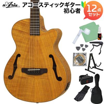 ARIA FET-F2 STBR アコースティックギターギター初心者12点セット エレアコ Fホール アリア Elecord
