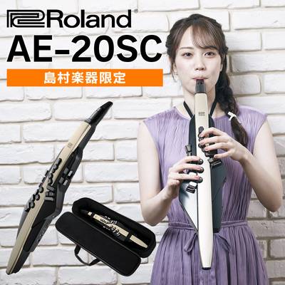 [教則動画付き] Roland AE-20SC 島村楽器限定モデル ゴールドカラー 追加音源付属 エアロフォン ウインドシンセサイザー ローランド AE20SC