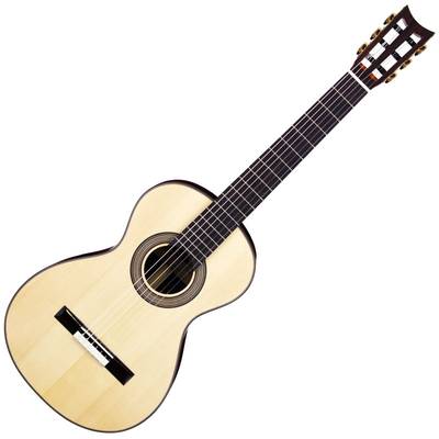 ARIA A19C-100N クラシックギター 19世紀ギタータイプ 630mm ハードケース付き アリア 