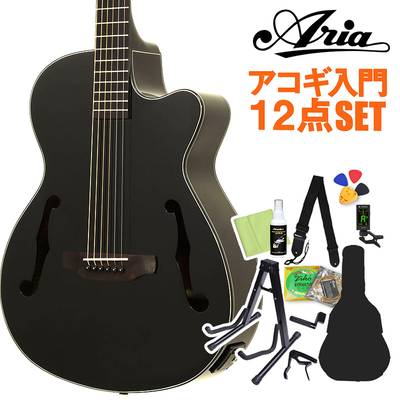 ARIA FET-F2/BnG アコースティックギターギター初心者12点セット エレアコギター Fホール ブラック ゴールドパーツ アリア Elecord