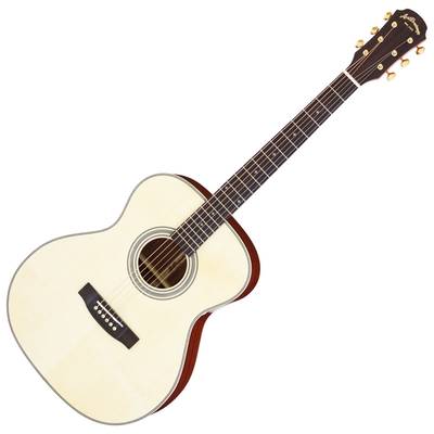 ARIA AF-501 N アコースティックギター アリア 