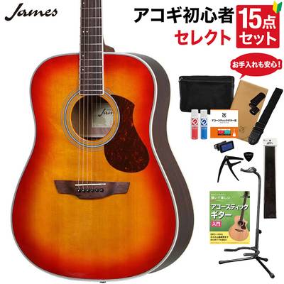 James J-300D CAO アコースティックギター 教本・お手入れ用品付きセレクト15点セット 初心者セット ジェームス 