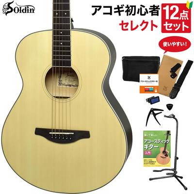 Soldin SFG-15 NAS アコースティックギター 教本付きセレクト12点セット 初心者セット OOOサイズ サテン塗装 ソルディン 