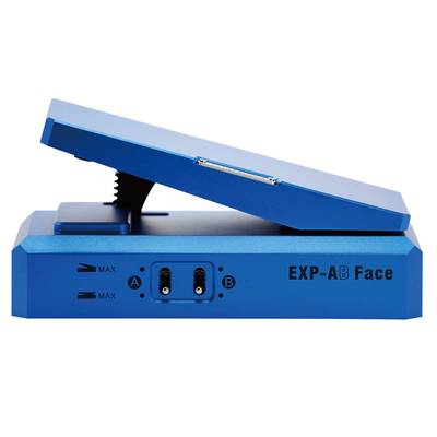 PAINT AUDIO EXP-AB Face エクスプレッションペダル ペイントオーディオ 