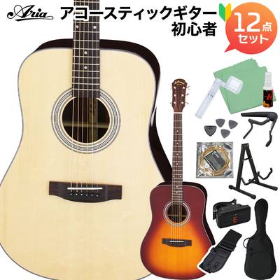 ARIA AD-215 アコースティックギター初心者12点セット トップ単板 アリア 