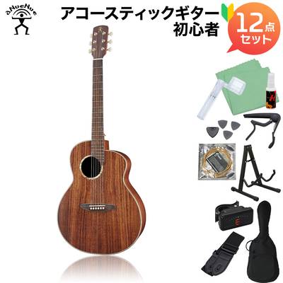 aNueNue L30 アコースティックギター初心者12点セット Original オリジナルシリーズ アヌエヌエ aNN-L30