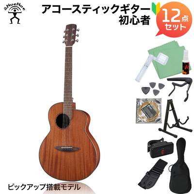 aNueNue L20E アコースティックギター初心者12点セット Original オリジナルシリーズ アヌエヌエ aNN-L20E