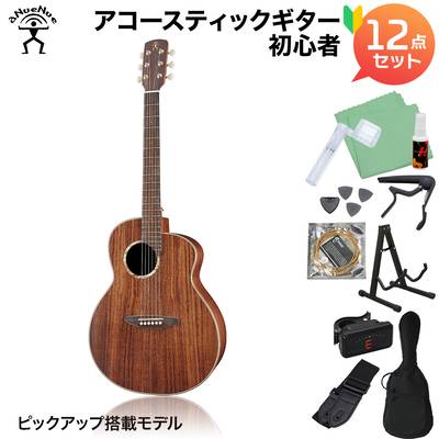 aNueNue L30E アコースティックギター初心者12点セット エレアコギター Original オリジナルシリーズ アヌエヌエ aNN-L30E