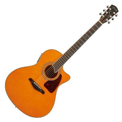 S.Yairi YE-5M AM エレアコギター トップ単板 ソフトケース付属 Sヤイリ E-Acoustic シリーズ