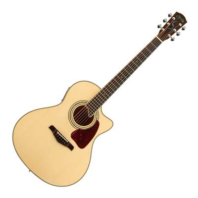 S.Yairi YE-5M NAT エレアコギター トップ単板 ソフトケース付属 Sヤイリ E-Acoustic シリーズ