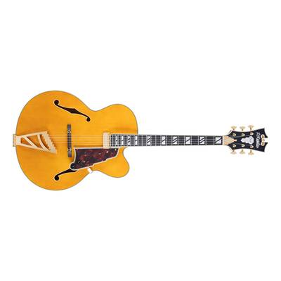 D'Angelico Excel EXL-1 Amber エレキギター フルアコギター ディアンジェリコ 