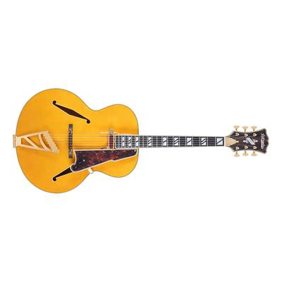 D'Angelico Excel Style B Amber エレキギター フルアコギター ディアンジェリコ 