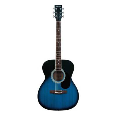 Sepia Crue FG-10 Blue Sunburst (ブルーサンバースト) アコースティックギター ソフトケース付属 セピアクルー 