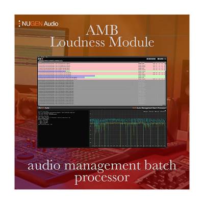 NUGEN Audio AMB Loudness Module ニュージェン・オーディオ [メール納品 代引き不可]