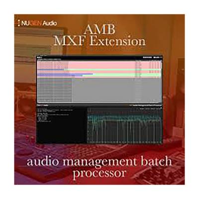 NUGEN Audio AMB MXF Module ニュージェン・オーディオ [メール納品 代引き不可]