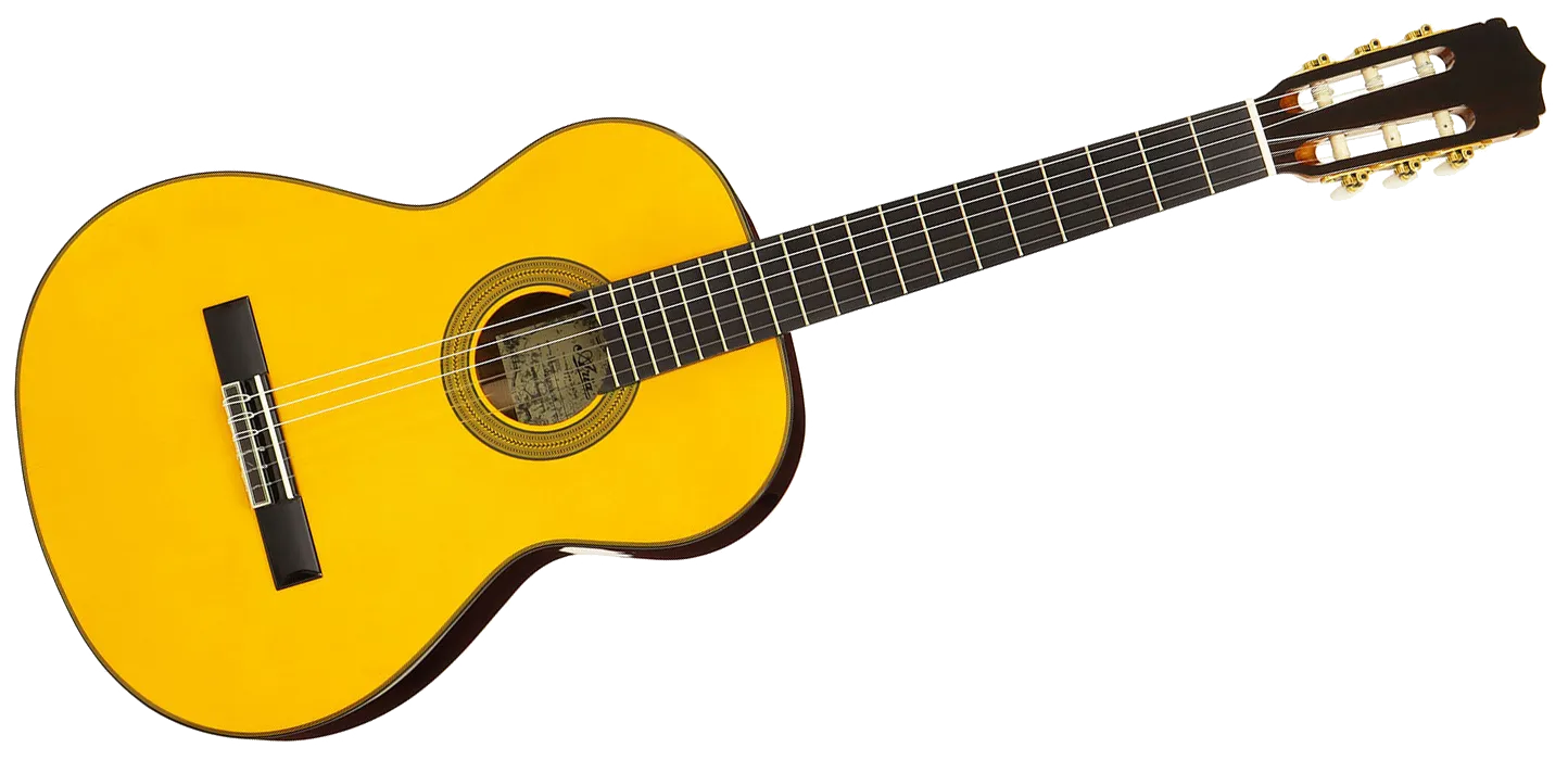 楽器・機材ギター