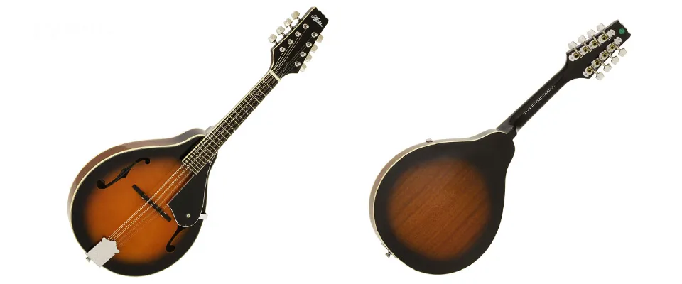 Flatiron Mandola mandolin マンドラ マンドリン属 | www.innoveering.net