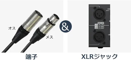 XLR端子