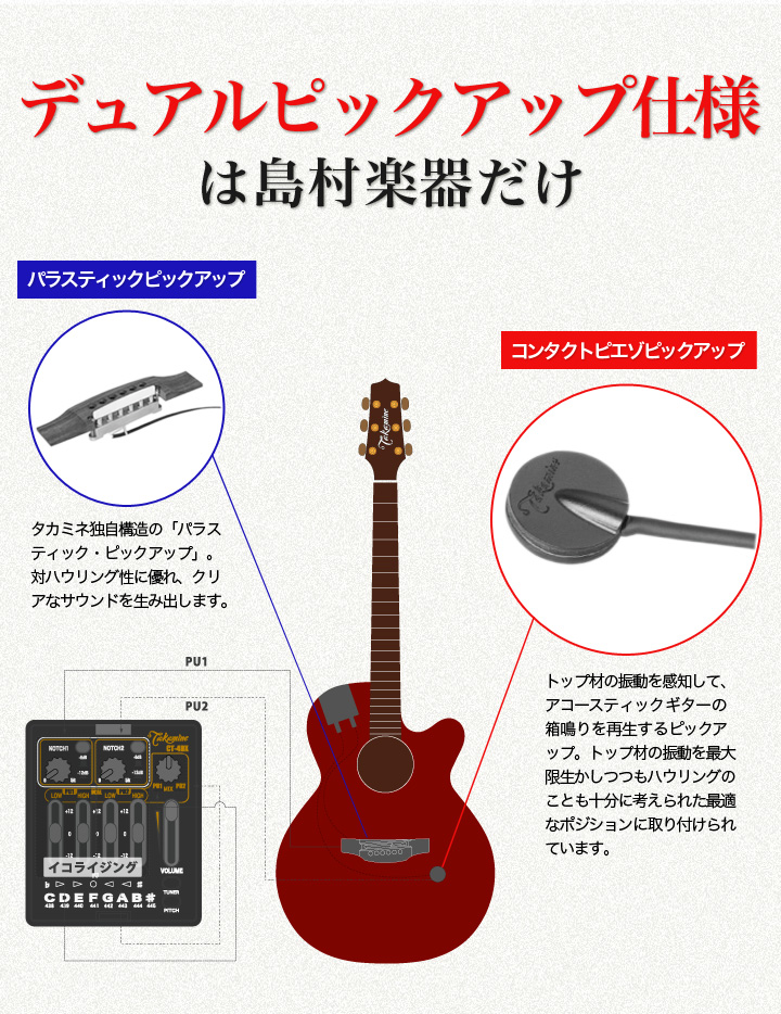 Takamine DMP50S WR エレアコギター 【島村楽器 x Takamine コラボ 