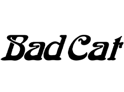 BadCat