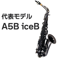 代表モデル A5B iceB