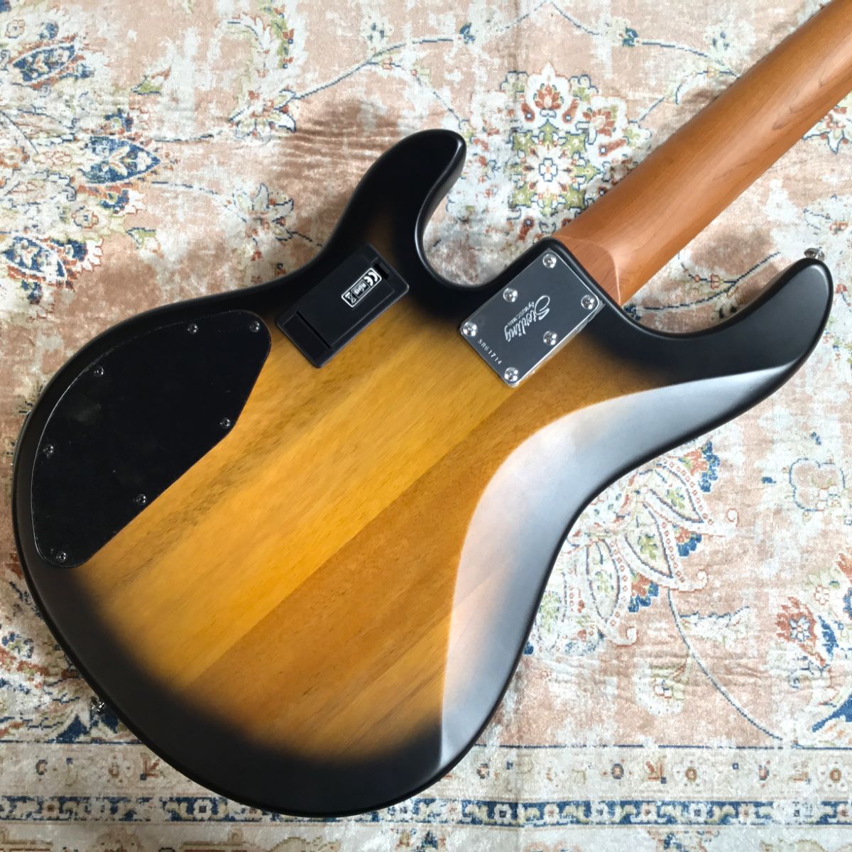 STERLING by Musicman RAY35 HH スターリン 【 名古屋パルコ店 ...