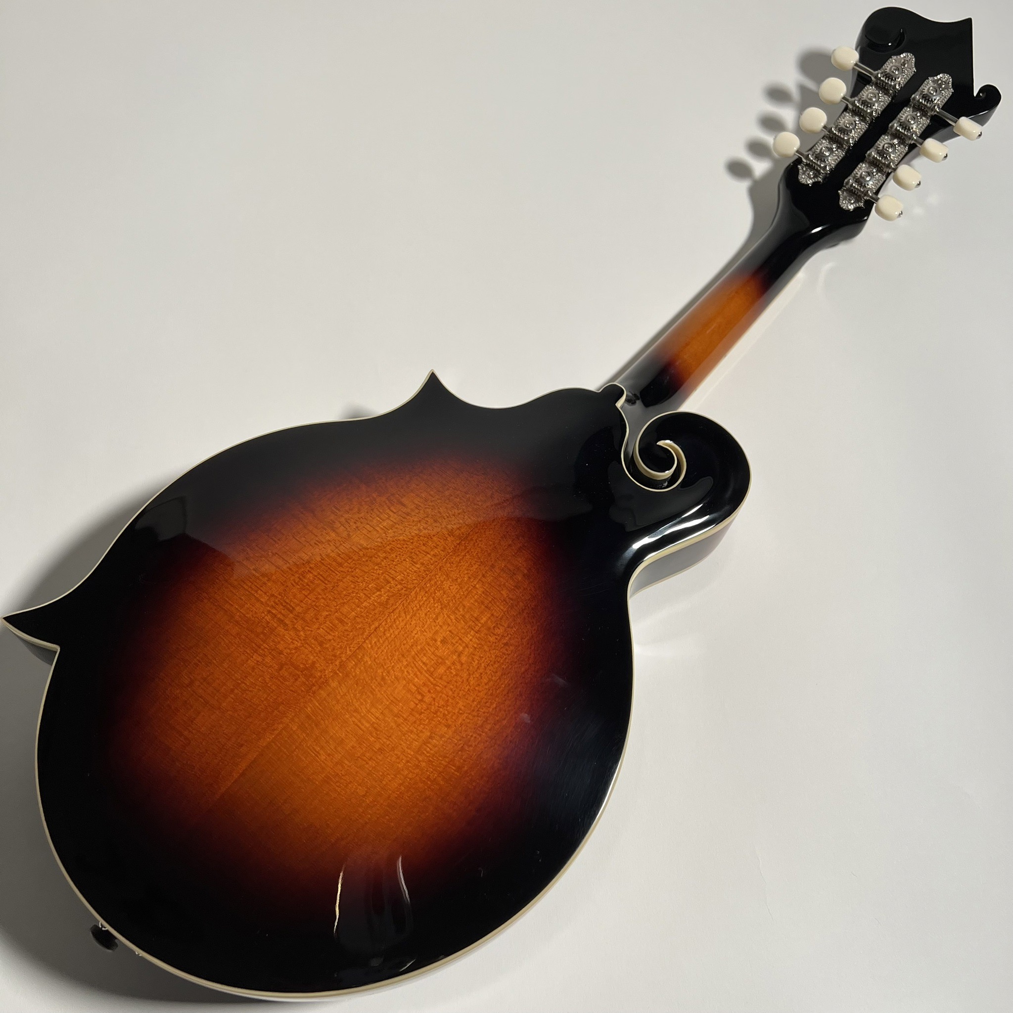 The Loar LM-520-VS フラットマンドリン 新品弦おまけつき-