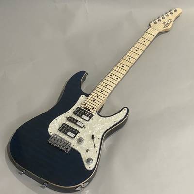 SCHECTER SD-2-24-AL-VTR/M シェクター 【イオンモール姫路リバー