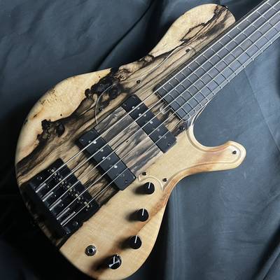 saitias guitars  Aquarius 5 Custom Kurokaki(黒柿) サイティアスギター 【 横浜ビブレ店 】 【ギタラバ2023】