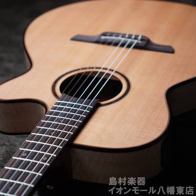 Takamine / タカミネ アコースティックギター | 島村楽器オンラインストア