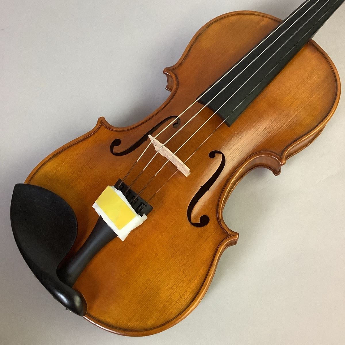 状態Nicolo Santi ニコロサンティNSN60S 4/4バイオリン 22年製