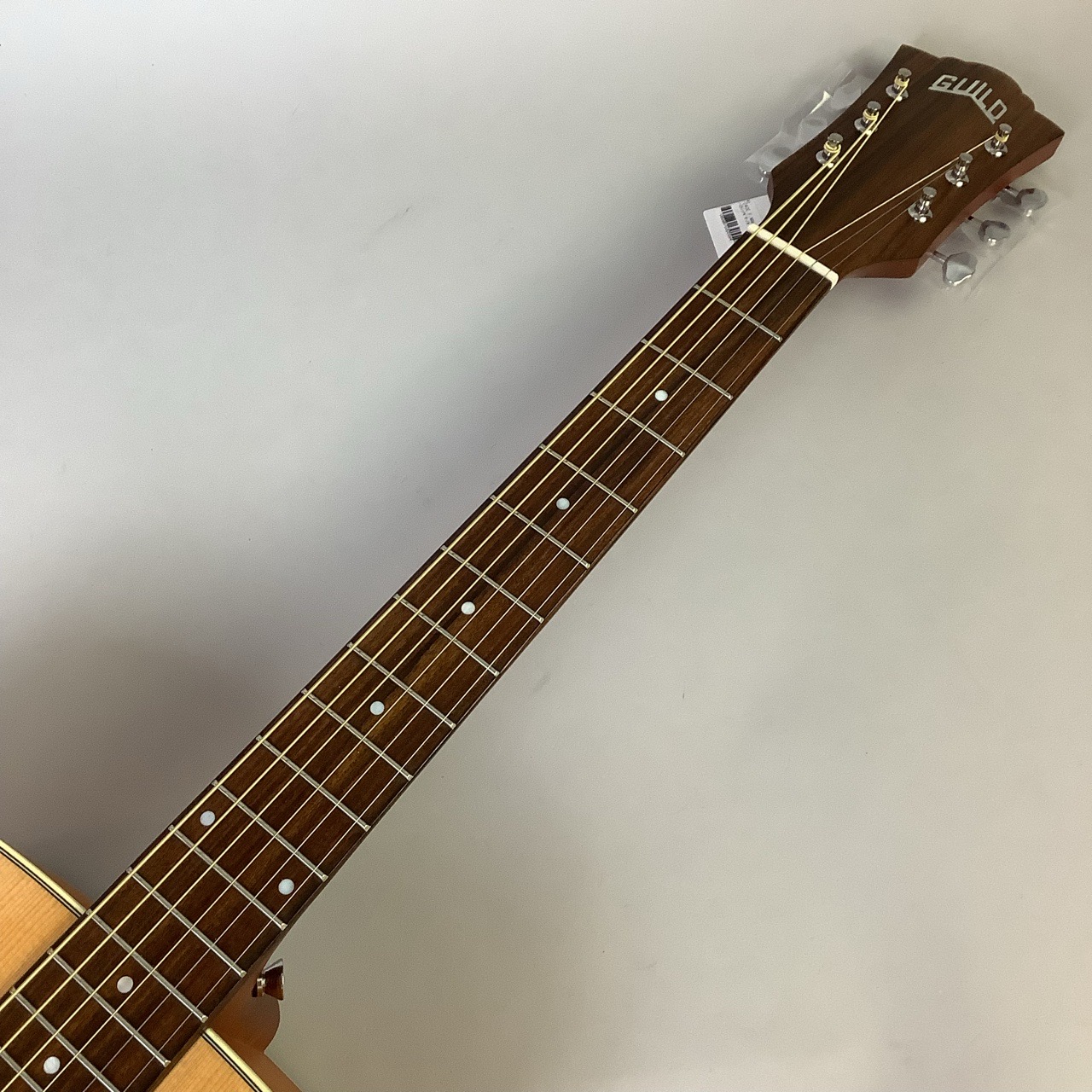 GUILD (ギルド) D-240E Flamed Mahogany