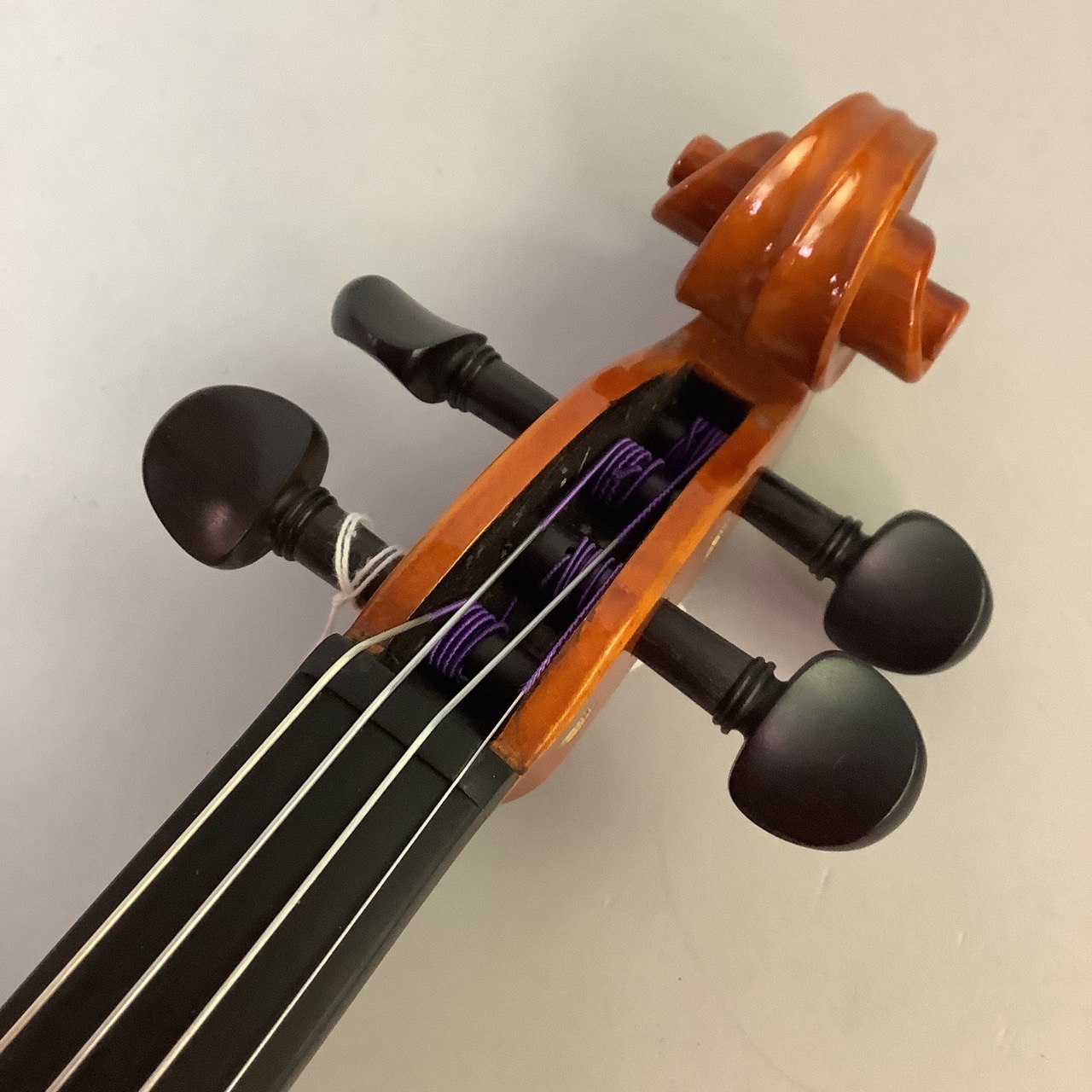 EASTMAN イーストマン バイオリン No.VL80 4/4 2019年製弦楽器